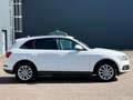 Audi Q5 Q5 2.0 TDI 177 Quattro Avus S tronic 7 - thumbnail 9