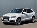 Audi Q5 Q5 2.0 TDI 177 Quattro Avus S tronic 7 - thumbnail 2