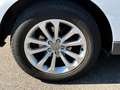 Audi Q5 Q5 2.0 TDI 177 Quattro Avus S tronic 7 - thumbnail 22