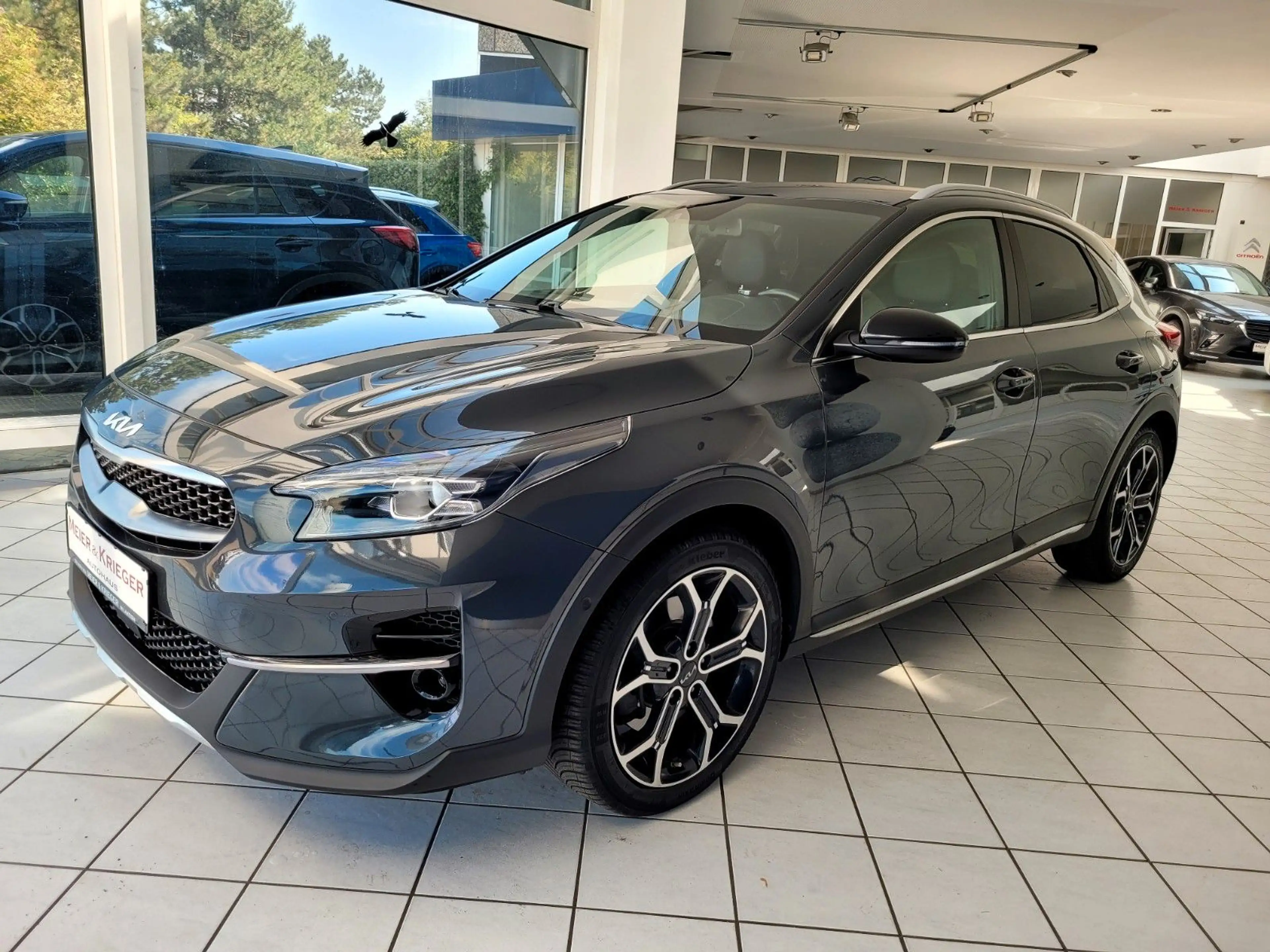 Kia XCeed Black Xdition DCT Exclusive-Paket/JBL/ACC — photo 4