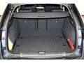 Skoda Octavia Combi First Edition AHK/ACC/Einparkhi Grau - thumbnail 10