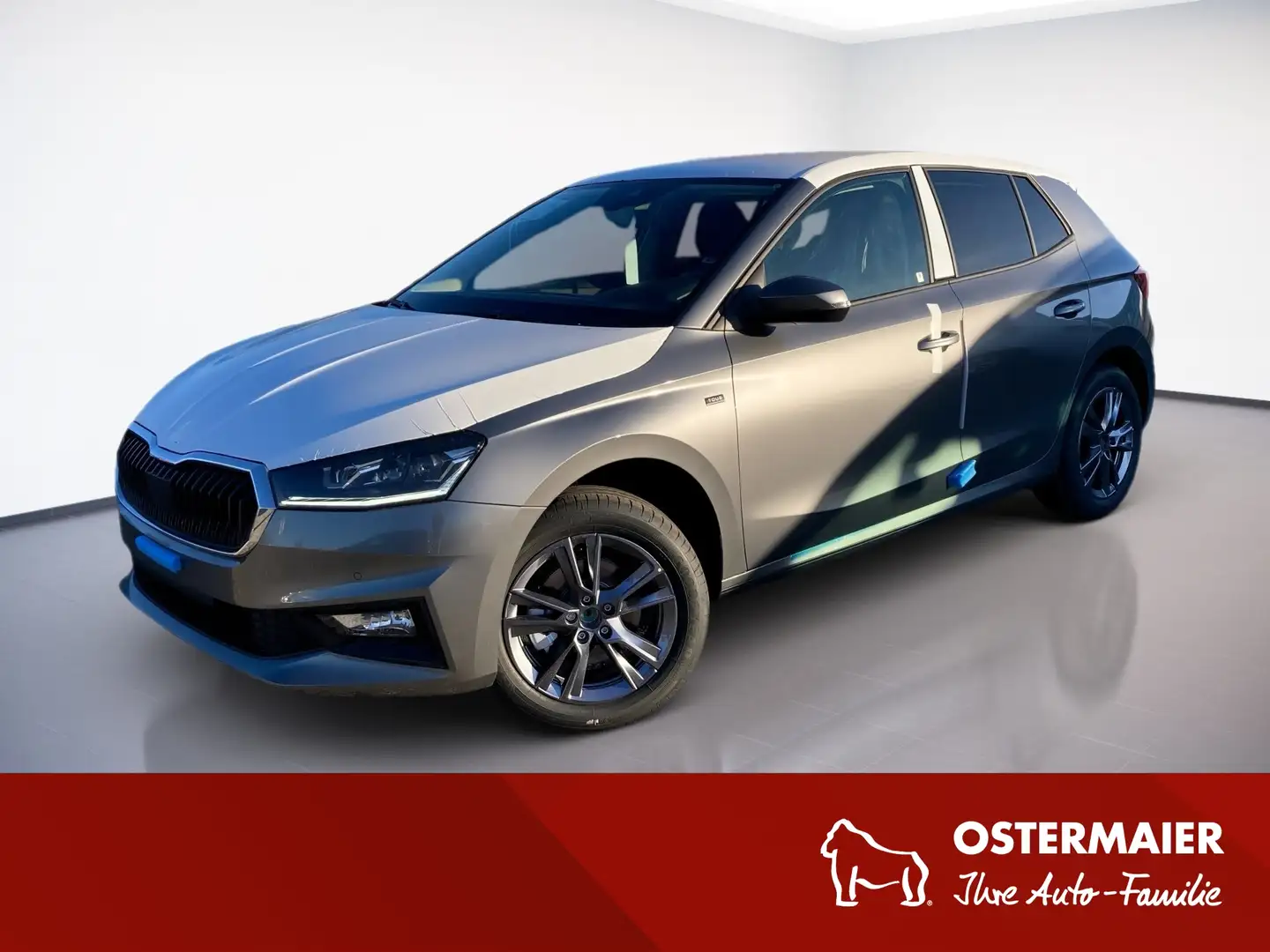 Skoda Fabia Tour 1.0TSI LED.WINTER.LaneA.DriverA.KAM.KESSY.SMA Grau - 1