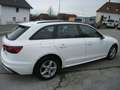 Audi A4 40 TDI advanced Weiß - thumbnail 6