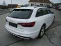 Audi A4 40 TDI advanced Weiß - thumbnail 5
