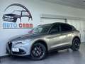 Alfa Romeo Stelvio 2.2 Turbodiesel 190 CV AT8 Q4 B-Tech Сірий - thumbnail 1