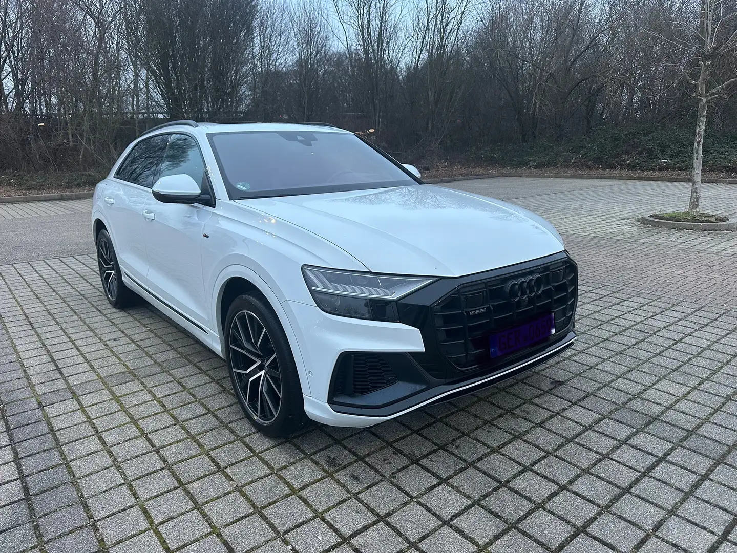 Audi Q8 50 TDI Q/Pano/Allradlenkung/Head-Up/B&Olufsen Weiß - 2