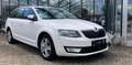 Skoda Octavia Combi Ambition DSG Alu 16" Sitzheizung Weiß - thumbnail 12