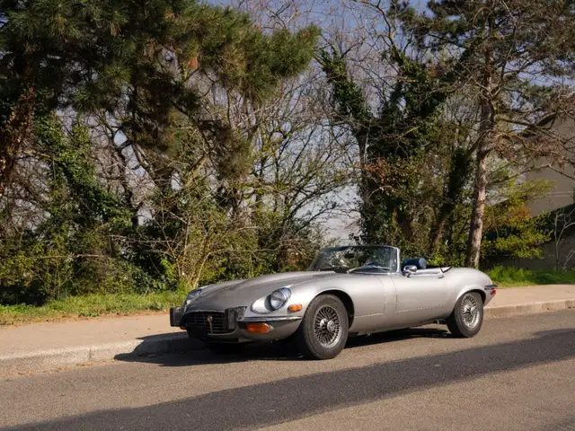 Jaguar E-Type Roadster Ultime Série (3)