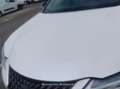 Lexus UX 250h 2.0 Executive Navigation - thumbnail 16