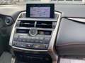 Lexus NX 300 NX 300h 2.5 F-Sport 4wd cvt Grey - thumbnail 13