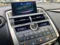 Lexus NX 300 NX 300h 2.5 F-Sport 4wd cvt Gris - thumbnail 14