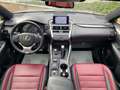 Lexus NX 300 NX 300h 2.5 F-Sport 4wd cvt Szary - thumbnail 9