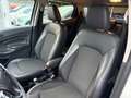 Ford EcoSport 1.0 EcoBoost 125 CV Titanium Bleu - thumbnail 15