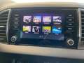 Skoda Karoq Clever 2.0TDI DSG 4x4 Navi per Smartlink Grau - thumbnail 13