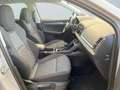 Skoda Karoq Clever 2.0TDI DSG 4x4 Navi per Smartlink Grau - thumbnail 10