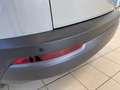 Skoda Karoq Clever 2.0TDI DSG 4x4 Navi per Smartlink Grau - thumbnail 20