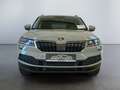 Skoda Karoq Clever 2.0TDI DSG 4x4 Navi per Smartlink Grau - thumbnail 6