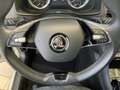 Skoda Karoq Clever 2.0TDI DSG 4x4 Navi per Smartlink Grau - thumbnail 17