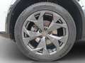 CUPRA Formentor 2.0 TDI DSG FACELIFT LED*VIRTUAL*NAVI*ACC*PARKL... Weiß - thumbnail 19