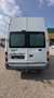 Ford Transit Transit FT 280 M Vario 4.36 2,2 TDCi DPF Vario Weiß - thumbnail 4