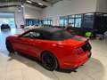 Ford Mustang Mustang Convertible V8 5.0 421 GT - thumbnail 5