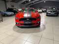 Ford Mustang Mustang Convertible V8 5.0 421 GT - thumbnail 4