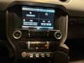 Ford Mustang Mustang Convertible V8 5.0 421 GT - thumbnail 20