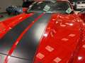 Ford Mustang Mustang Convertible V8 5.0 421 GT - thumbnail 21