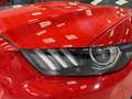 Ford Mustang Mustang Convertible V8 5.0 421 GT - thumbnail 2