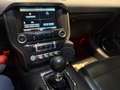 Ford Mustang Mustang Convertible V8 5.0 421 GT - thumbnail 22