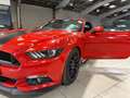 Ford Mustang Mustang Convertible V8 5.0 421 GT - thumbnail 8