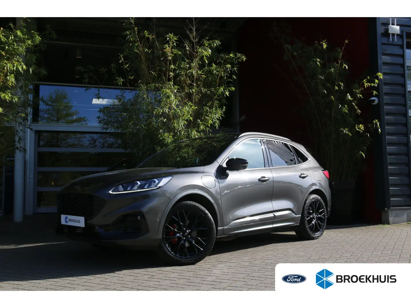 Ford Kuga 2.5 PHEV ST-Line X Black Pack | AGR-stoelen | Elek Grijs - 1