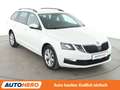 Skoda Octavia 1.0 TSI Tour*NAVI*PDC*SHZ*KLIMA*TEMPO* Blanc - thumbnail 8