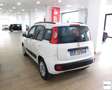 Fiat Panda 1.3 Mjt S&S Lounge Bianco - thumbnail 4