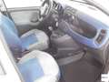 Fiat Panda 1.3 Mjt S&S Lounge Bianco - thumbnail 5