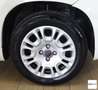 Fiat Panda 1.3 Mjt S&S Lounge Bianco - thumbnail 10