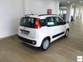Fiat Panda 1.3 Mjt S&S Lounge Bianco - thumbnail 3