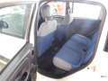 Fiat Panda 1.3 Mjt S&S Lounge Bianco - thumbnail 7