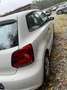 Volkswagen Polo Trendline Weiß - thumbnail 6