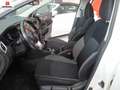 Nissan Qashqai 1.5 dci N-Connecta 110cv 2/2018 NAVI+TETTO+360 CAM Bianco - thumbnail 14