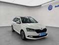 Skoda Fabia Combi 1.0 TSI Best of Clever Bianco - thumbnail 8