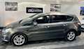 Ford S-Max 2.0 ECOBLUE 150CH TITANIUM BUSINESS BVA8 Gris - thumbnail 2