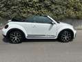 Volkswagen Beetle Cabrio 1.2 TSI DUNE UNICO PROPRIETARIO Blanc - thumbnail 7