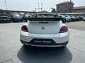Volkswagen Beetle Cabrio 1.2 TSI DUNE UNICO PROPRIETARIO Blanc - thumbnail 6