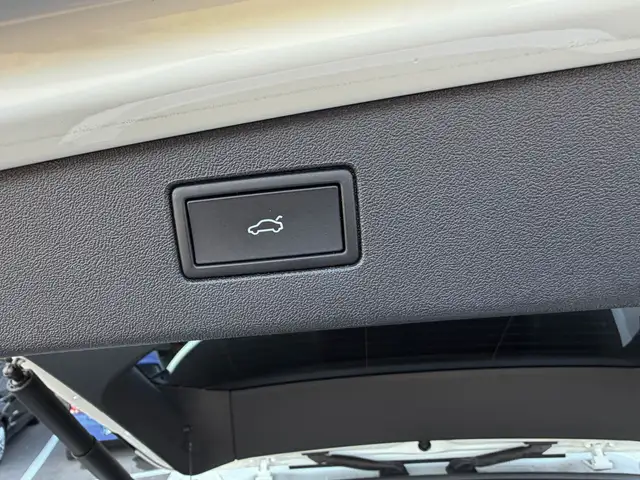Volkswagen Tiguan view 29