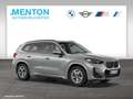 BMW X1 xDrive23d M Sportpaket Head-Up HK HiFi DAB Gris - thumbnail 10