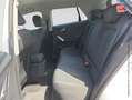 Audi Q2 35 TFSI 150ch Business line S tronic 7 Blanc - thumbnail 11