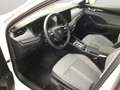 Skoda Octavia Combi 1.5 eTSI DSG Selection Matrix AHK Navi Rear Weiß - thumbnail 17