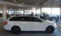 Skoda Octavia Combi RS 4x4;NAV CANT ACC LAN DCC XTREME Weiß - thumbnail 9