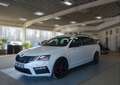 Skoda Octavia Combi RS 4x4;NAV CANT ACC LAN DCC XTREME Weiß - thumbnail 5